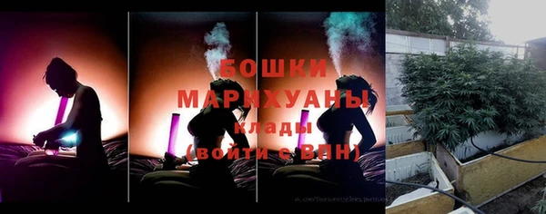 дмт Дмитриев
