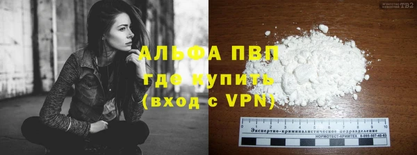 дмт Дмитриев